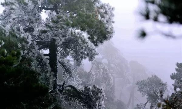 明早,西宁最低温-17℃