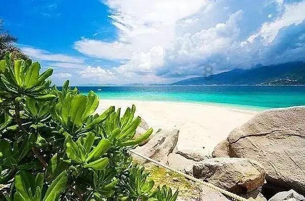 美丽海洋找不同