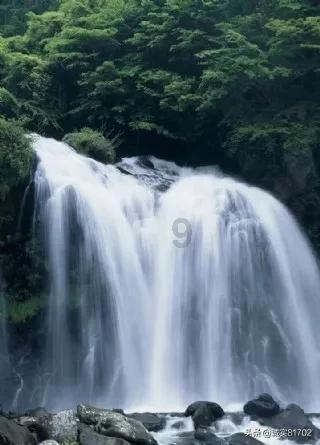 女管家逃脱记