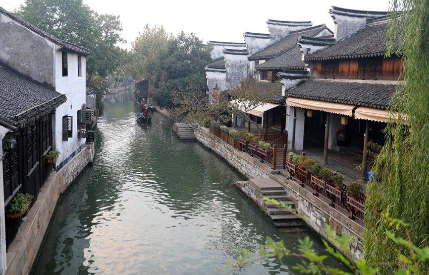 植物大战僵尸8