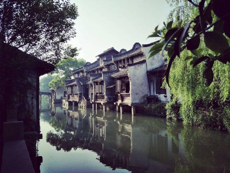 拯救红松鼠